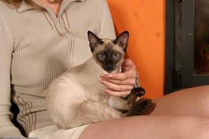 Original 1536 px/ 1024 px