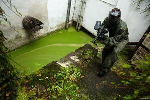 Original 4000 px/ 2667 px