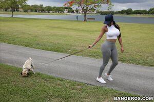 Original 1620 px/ 1080 px