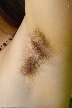 Original 684 px/ 1024 px