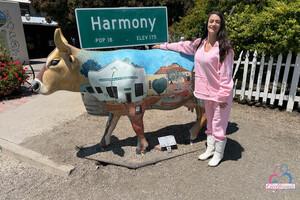 Original 5000 px/ 3333 px