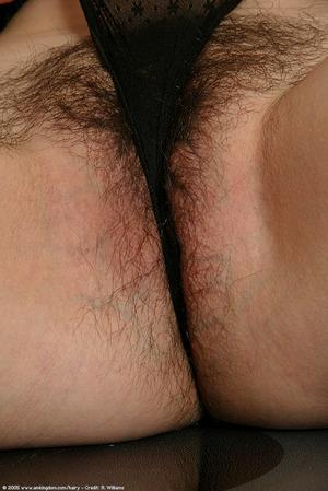 Original 684 px/ 1024 px