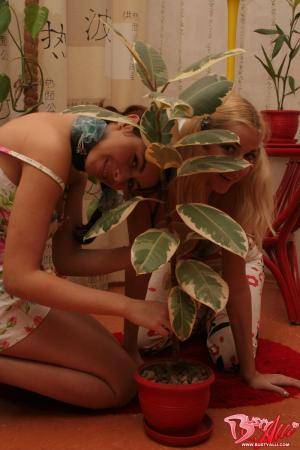 Original 1000 px/ 1500 px