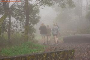 Original 1472 px/ 981 px