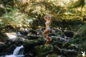 Original 2739 px/ 1826 px