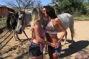 Original 1600 px/ 1066 px