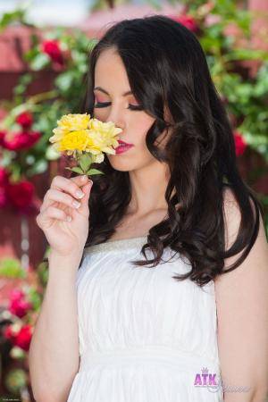 Original 1996 px/ 3000 px