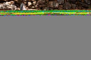 Original 3000 px/ 2000 px