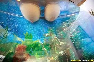 Original 900 px/ 600 px