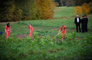 Original 1200 px/ 795 px