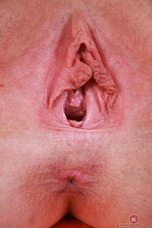 Original 2000 px/ 3000 px