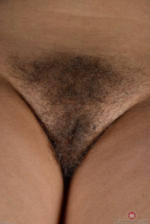 Original 854 px/ 1280 px