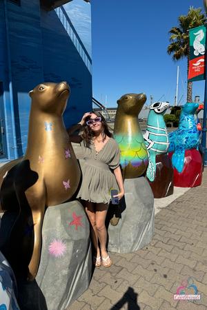 Original 2000 px/ 3000 px