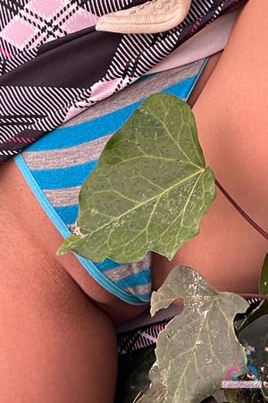 Original 2000 px/ 3000 px