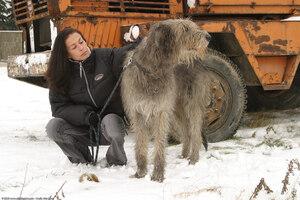 Original 1536 px/ 1024 px