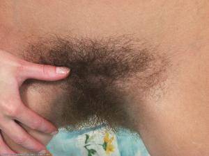 Original 1024 px/ 768 px