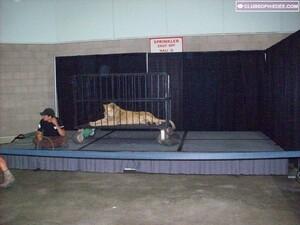 Original 1024 px/ 767 px