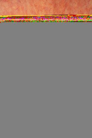 Original 1996 px/ 3000 px