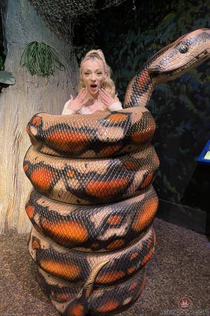 Original 2000 px/ 3000 px