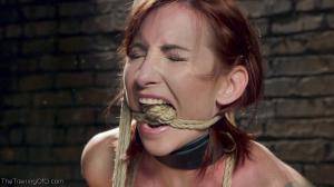 Original 1200 px/ 675 px