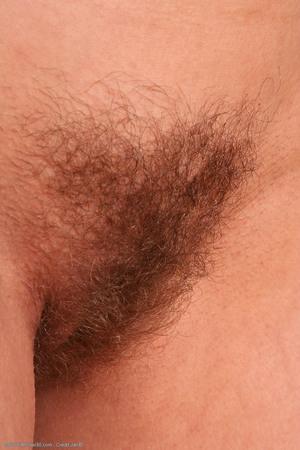 Original 1024 px/ 1536 px