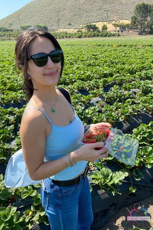 Original 2000 px/ 3000 px