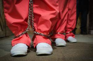 Original 1200 px/ 795 px