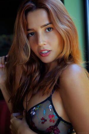 Original 1442 px/ 2162 px