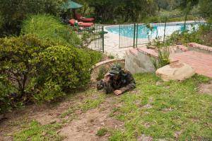 Original 2499 px/ 1663 px