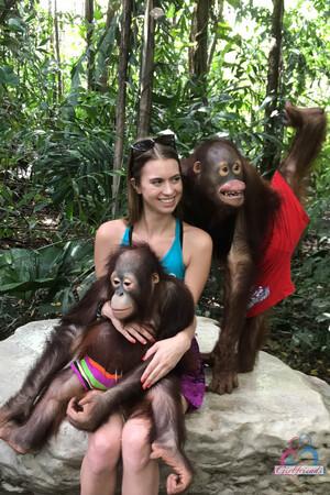 Original 2000 px/ 3000 px