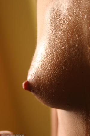 Original 1024 px/ 1536 px