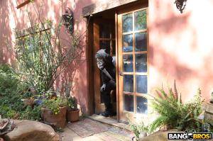 Original 2000 px/ 1333 px