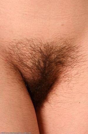 Original 672 px/ 1024 px