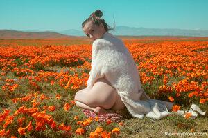 Original 3000 px/ 2000 px