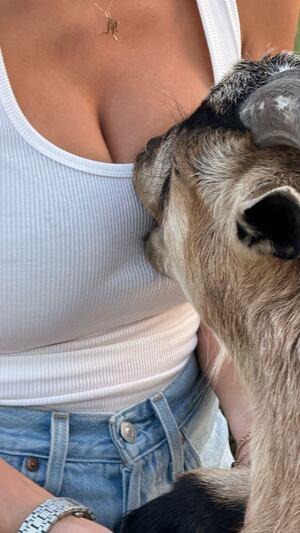 Original 1290 px/ 2293 px