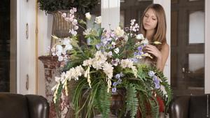 Original 1920 px/ 1080 px