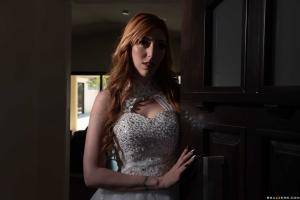 Original 2491 px/ 1663 px