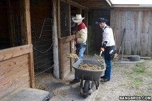 Original 800 px/ 533 px