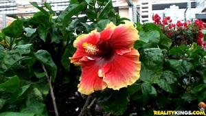 Original 3840 px/ 2160 px