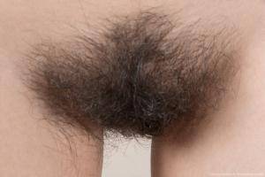 Original 1280 px/ 854 px