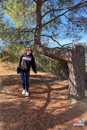 Original 2000 px/ 3000 px