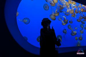 Original 3000 px/ 2000 px