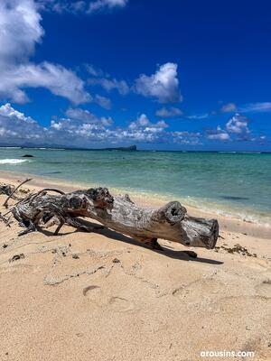 Original 3024 px/ 4032 px