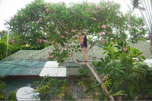 Original 5616 px/ 3747 px