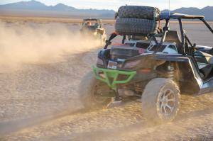 Original 2495 px/ 1663 px