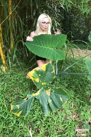 Original 2000 px/ 3000 px