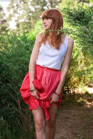 Original 2336 px/ 3504 px