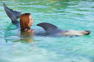 Original 1400 px/ 931 px