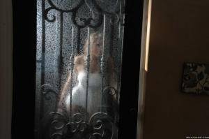 Original 2499 px/ 1663 px