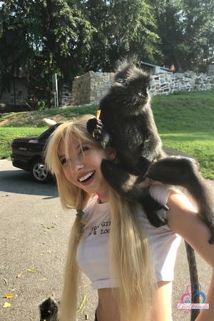 Original 2000 px/ 3000 px